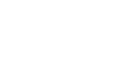 logo-w-Festo2