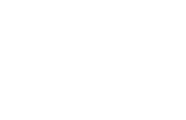 logo-w-Techdata