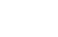 logo-w-Zeppelin