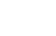 logo-w-ddv
