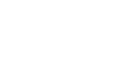 logo-w-ivd