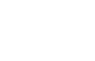 logo-w-iveco
